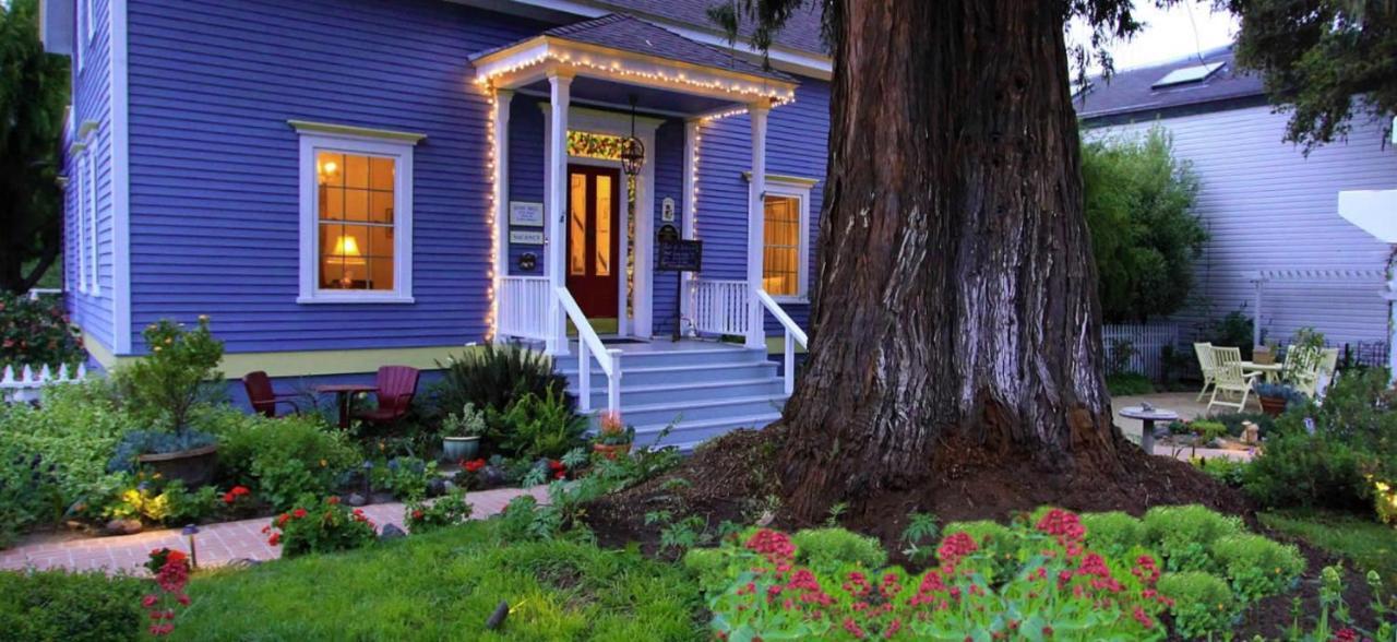 Olallieberry Inn Bed And Breakfast Cambria Buitenkant foto