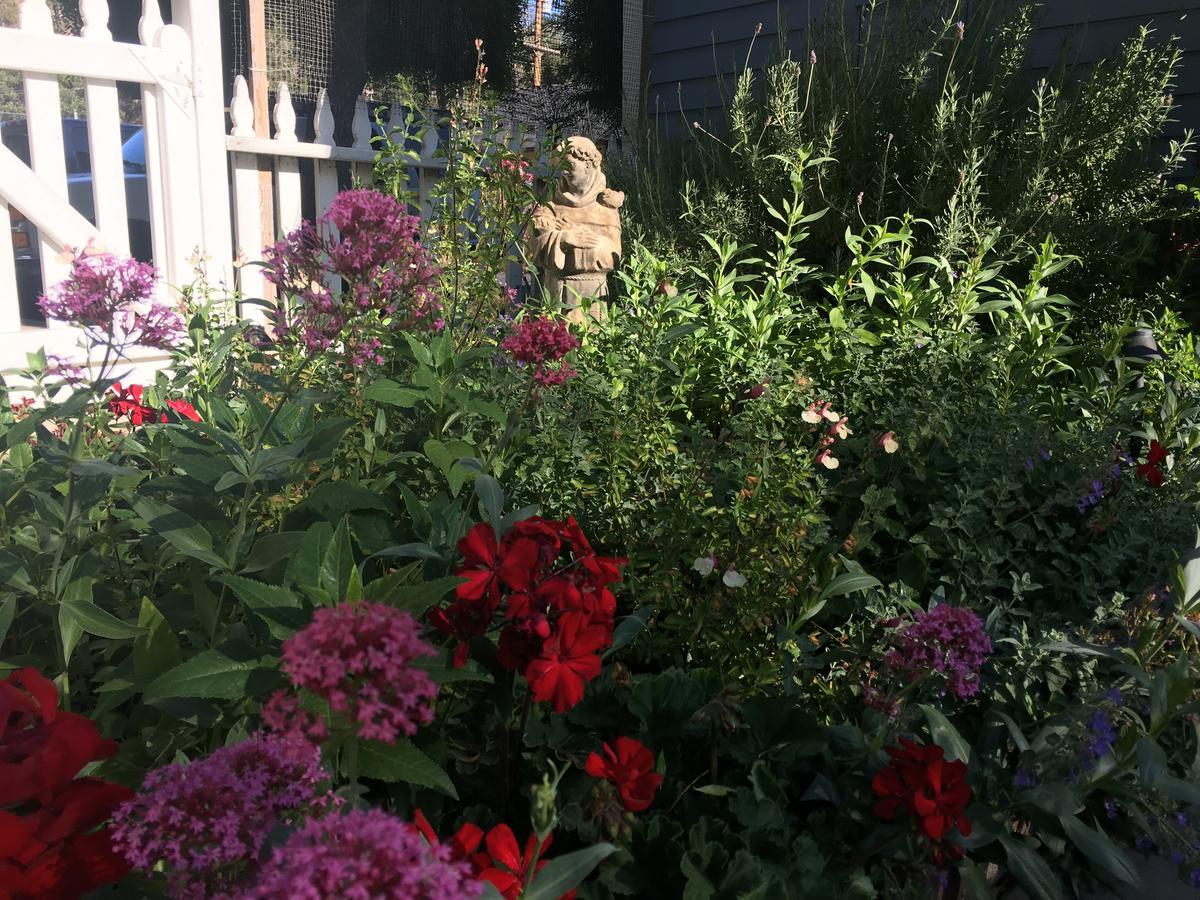 Olallieberry Inn Bed And Breakfast Cambria Buitenkant foto