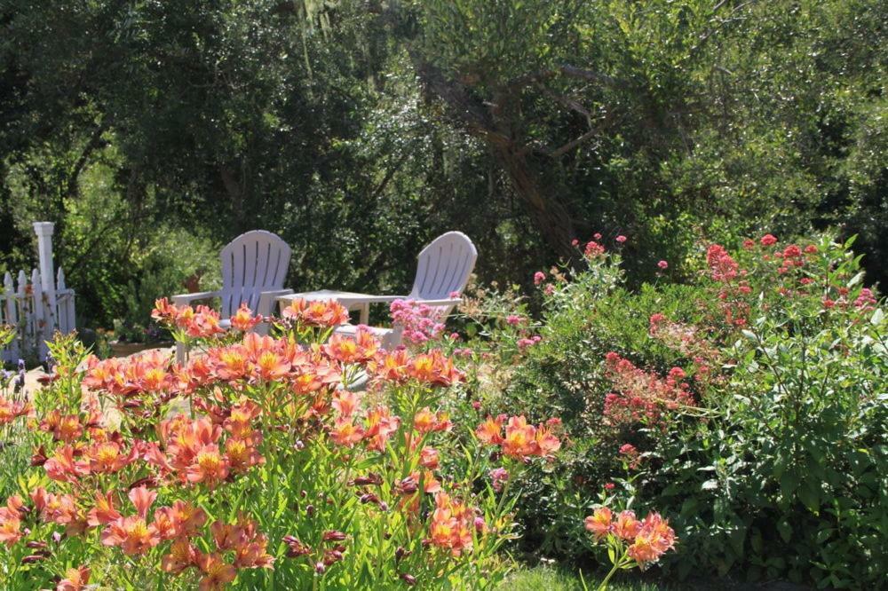 Olallieberry Inn Bed And Breakfast Cambria Buitenkant foto